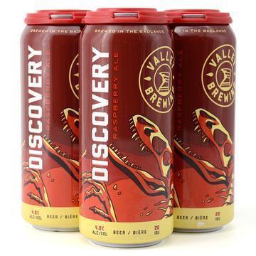 VB DISCOVERY RASPBERRY ALE 4PK