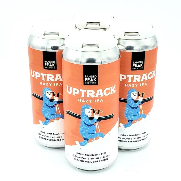 UPTRACK 4PK